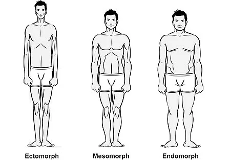 somatypes and body types - ectomorph, endomorph and mesomorph examples