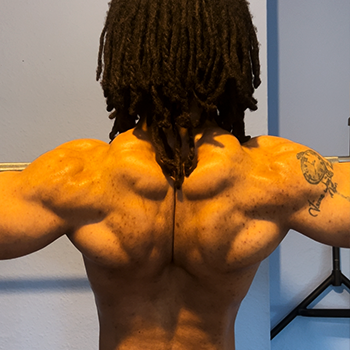 trap muscles from the back