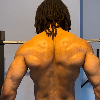 trap muscles from the back - v taper physique