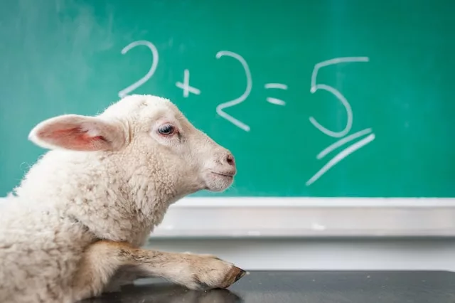 calculating calories and macros - goat in front of math board
